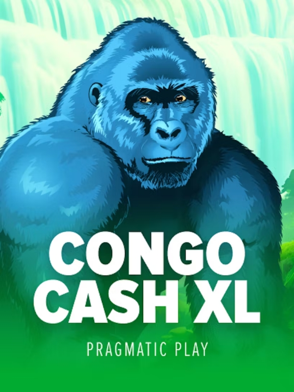 Congo Cash XL